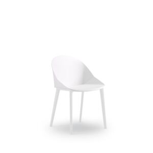 Sutton chairs