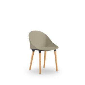 Sutton chairs