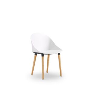 Sutton chairs